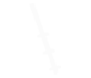 Example Image